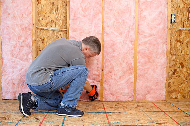 Best Eco-Friendly Insulation in Naugatuck, CT